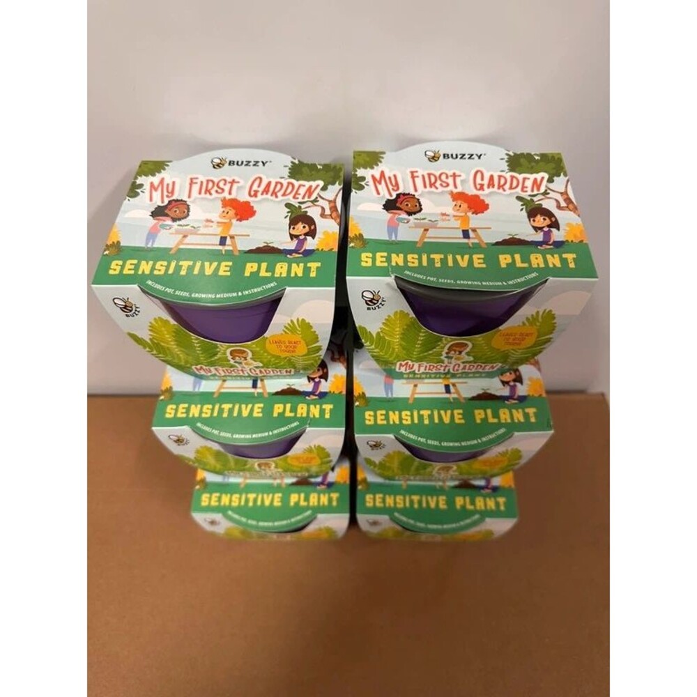 My First Garden Sensitive Plants x 6, Preschool, Party Favors